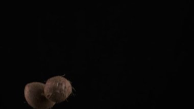 Flying up coconuts on the black background, slow motion
