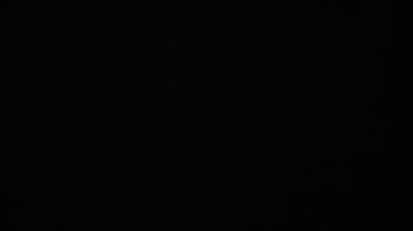 Flying up coconuts on the black background, slow motion