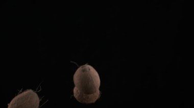Flying up coconuts on the black background, slow motion
