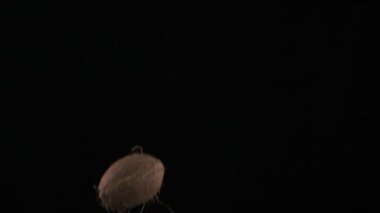 Flying up coconuts on the black background, slow motion