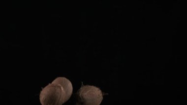 Flying up coconuts on the black background, slow motion
