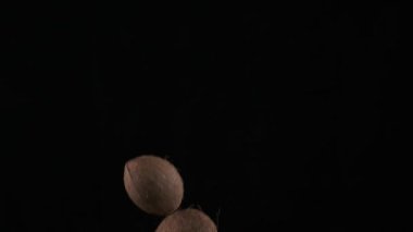 Flying up coconuts on the black background, slow motion