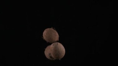 Flying up coconuts on the black background, slow motion