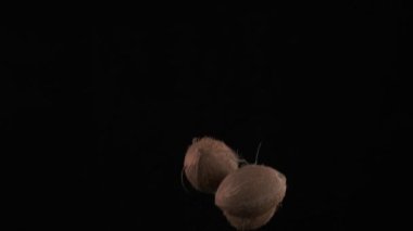 Flying up coconuts on the black background, slow motion