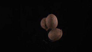 Flying up coconuts on the black background, slow motion