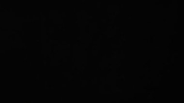 Flying up coconuts on the black background, slow motion