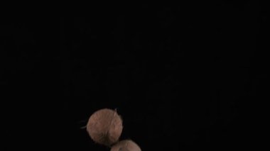 Flying up coconuts on the black background, slow motion