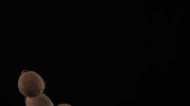Flying up coconuts on the black background, slow motion
