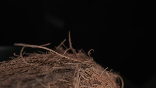 Three Coconuts Spinning Black Background Close Slow Motion — Stockvideo