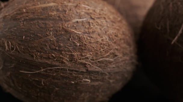 Three Coconuts Spinning Black Background Close Slow Motion — Αρχείο Βίντεο