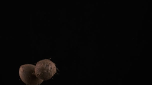 Flying Coconuts Black Background Slow Motion — Video