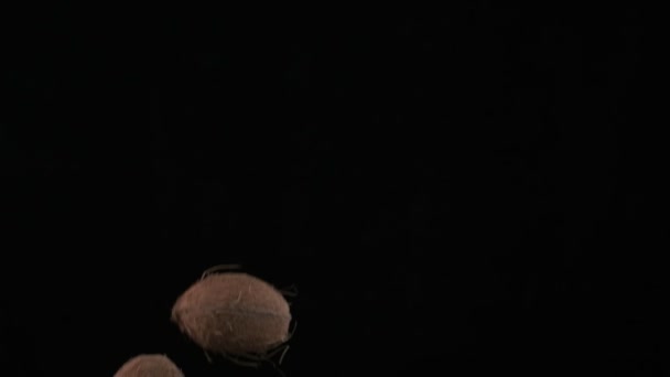 Flying Coconuts Black Background Slow Motion — Stok video