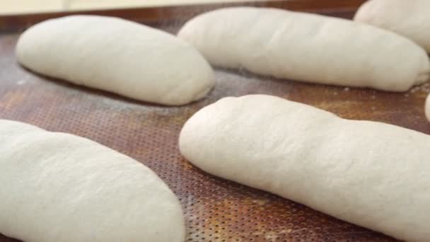 Bakers Sprinkle Flour Plastic Scoop Lot Ready Bake Breads Lie — Stock Video