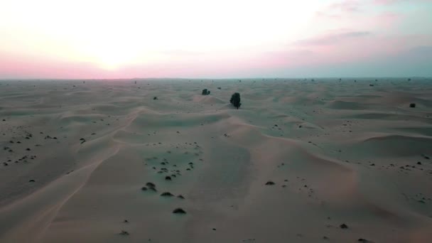 日落时分飞越迪拜沙漠的沙丘 无人机射击 — 图库视频影像