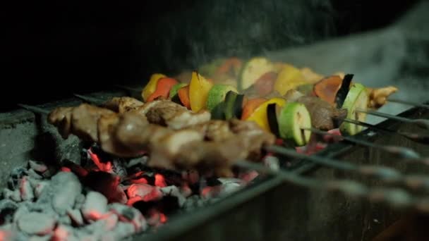Räucherfleisch Schaschlik Und Gemüse Auf Dem Grill — Stockvideo