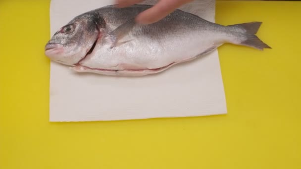 Повар Режет Рыбу Жёлтой Доске Ножом Повара Крупный План — стоковое видео