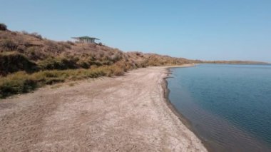 Aydarkul Gölü kıyısında bir at sürüsü. İnsansız hava aracından yavaş çekim