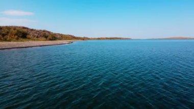 Aydarkul Gölü kıyısında bir at sürüsü. İnsansız hava aracından yavaş çekim