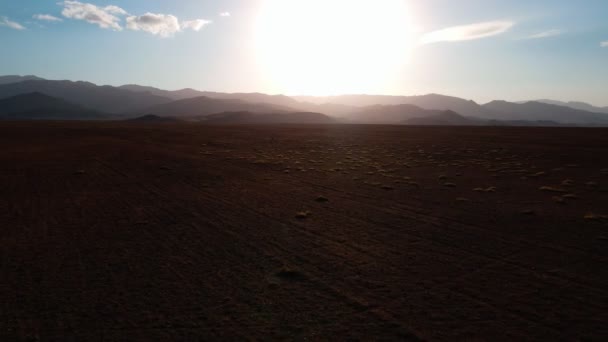 Drohnenflug Über Wüstensanddünen Bei Sonnenuntergang Luftaufnahme — Stockvideo