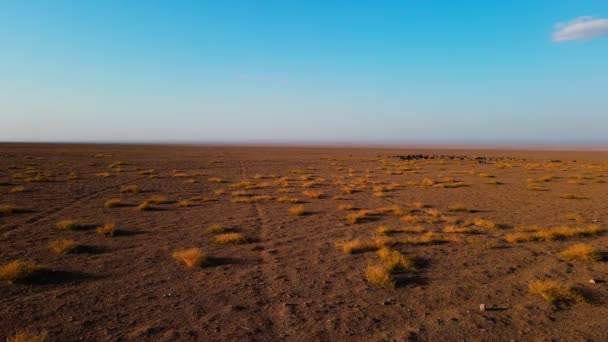 Jinete Caballo Blanco Estepa Atardecer Contra Telón Fondo Las Montañas — Vídeo de stock