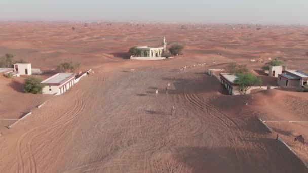 無人の道路を砂で覆われた家の間を歩くラクダの上空を飛ぶドローン — ストック動画