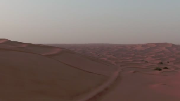 Vol Par Drone Dessus Des Dunes Sable Désertiques Avec Des — Video