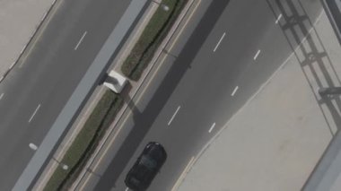 Drone, palmiye ağaçlarıyla çevrili yolda arabanın hareketini vuruyor.