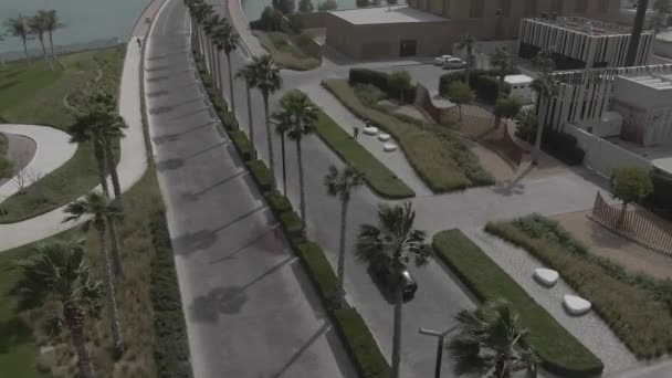 无人驾驶飞机在被棕榈树环绕的路上射击汽车的运动 — 图库视频影像