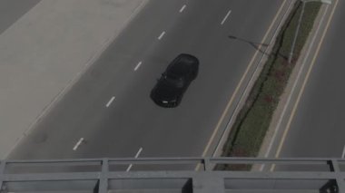 Drone, palmiye ağaçlarıyla çevrili yolda arabanın hareketini vuruyor.