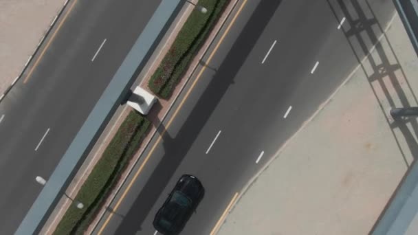 Drone Strzela Ruchu Samochodu Drodze Otoczony Palmami — Wideo stockowe