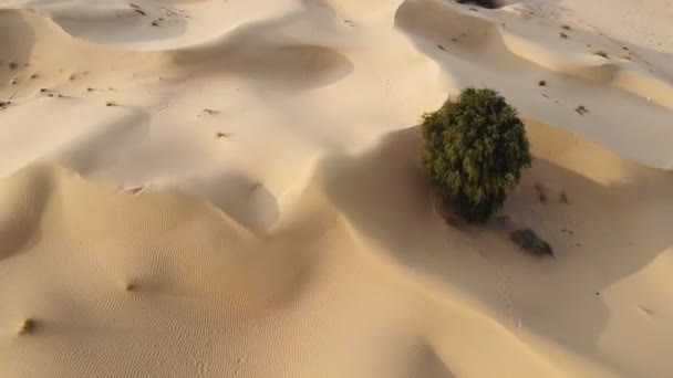 Drone Vliegt Zandduinen Woestijn Vanuit Lucht — Stockvideo