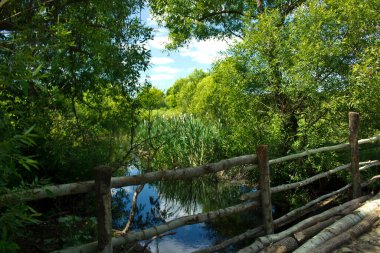 Kırsal bir yolda Udy nehrinin karşısındaki köprü.