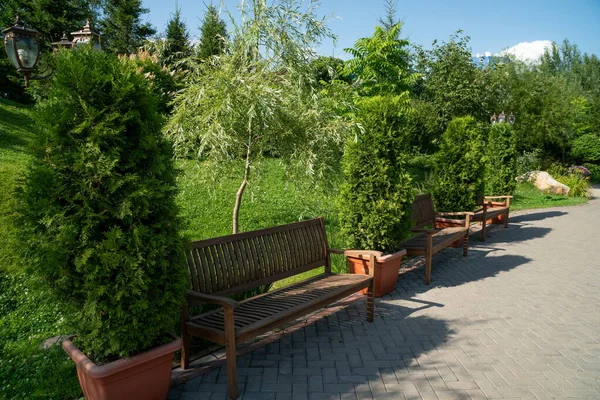 Wooden Bench Stands Junipers Flowerpots Alley Park Sunny Summer Day — Stock Photo, Image
