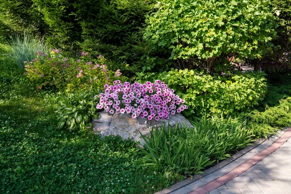 一个装饰花园 在阳光明媚的夏日里 种满了开花的植物 云杉和藤蔓 — 图库照片