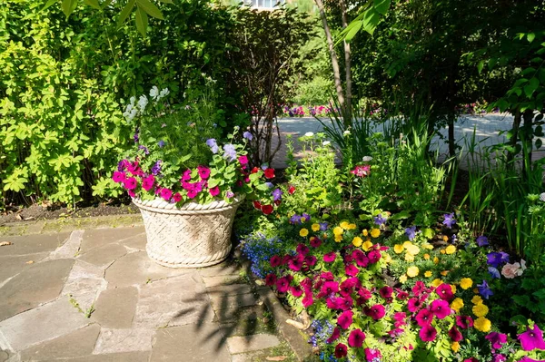 Floral Border Flowerpot Garden Trees Sunny Summer Day — Stock Photo, Image