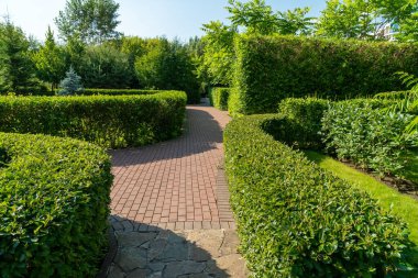 Güzelce budanmış çalılar güneşli bir yaz gününde parktaki patikaları çerçeveliyor..