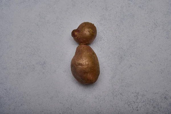 Ful potatis i djurform på grå bakgrund. Rolig, onormal grönsak — Stockfoto