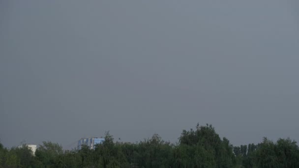 城市背景和森林上的雷雨 — 图库视频影像