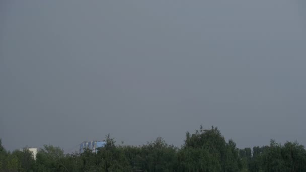 Tempesta Fulmini Sullo Sfondo Della Città Foresta — Video Stock