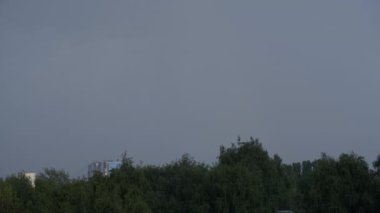 Şehir arka planında ve ormanda şimşek fırtınası