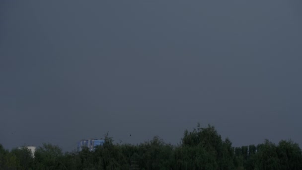 Lightning Storm City Background Forest — Stock Video