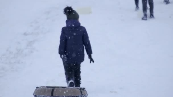 Niño Bonito Mono Oscuro Desliza Por Tobogán Hielo Juegos Infantiles — Vídeos de Stock