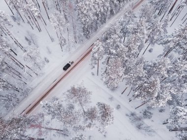 Ladin ağacı ormanındaki ilk kar. Kardan sonra ormanda araba kullanmak, insansız hava aracı görüntüsü. Karlı orman yolu. Arka plan olarak çam ağaçları. Havadan kış manzarası. Doğal orman geçmişi.