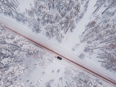 Ladin ağacı ormanındaki ilk kar. Kardan sonra ormanda araba kullanmak, insansız hava aracı görüntüsü. Karlı orman yolu. Arka plan olarak çam ağaçları. Havadan kış manzarası. Doğal orman geçmişi.