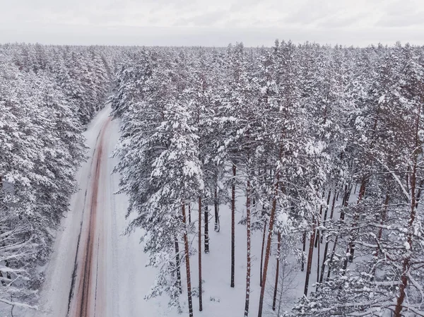 Pierwszy Śnieg Lesie Świerkowym Jazda Lesie Opadach Śniegu Widok Lotu — Zdjęcie stockowe