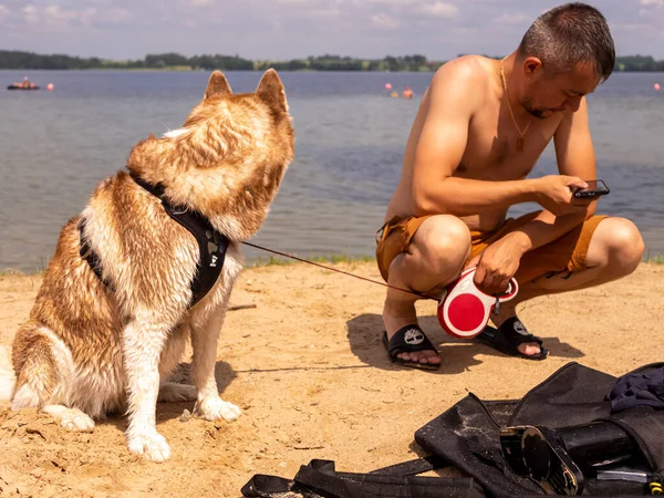 Cão Molhado Spray Água Belo Husky Está Nadando Lago Cão — Fotografia de Stock