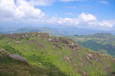 dağ çok ağaç ile