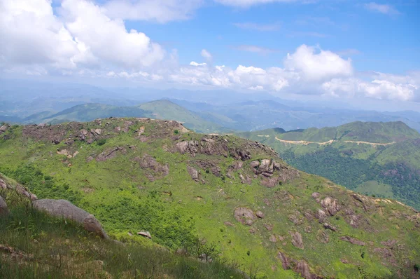 Mountain with many trees — Stock Photo, Image