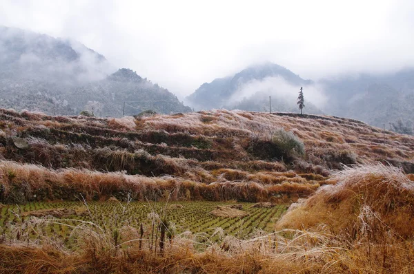 Campo de arroz após grande neve na China — Fotografia de Stock