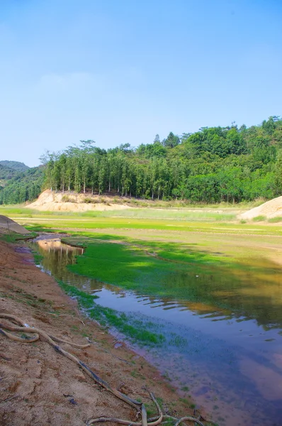 Floden och skogen på södra Kina — Stockfoto